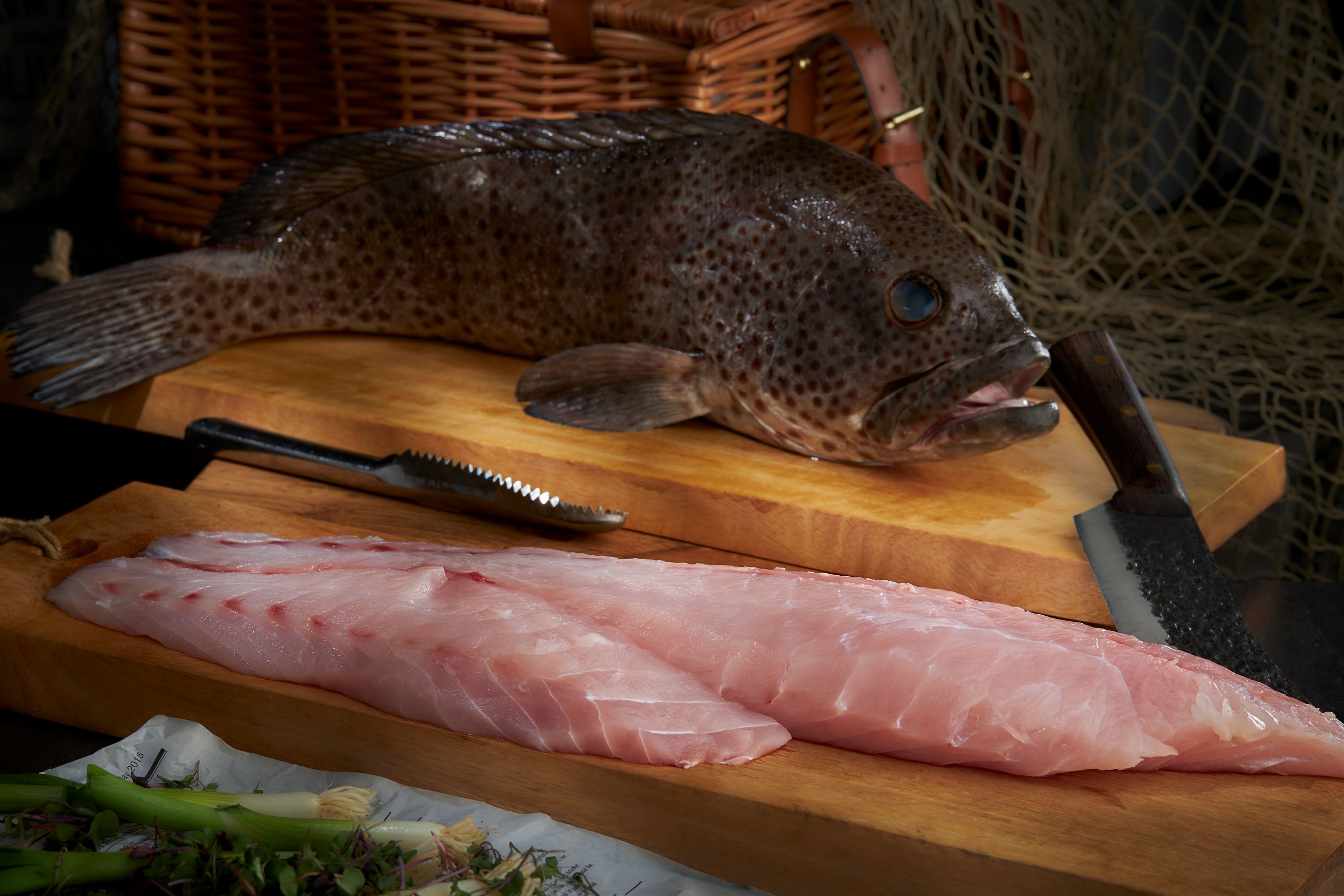 Black Grouper Fillet grouper-fillet