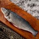 Medium Branzino