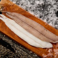 Grey Sole