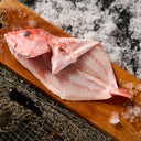 Red Snapper