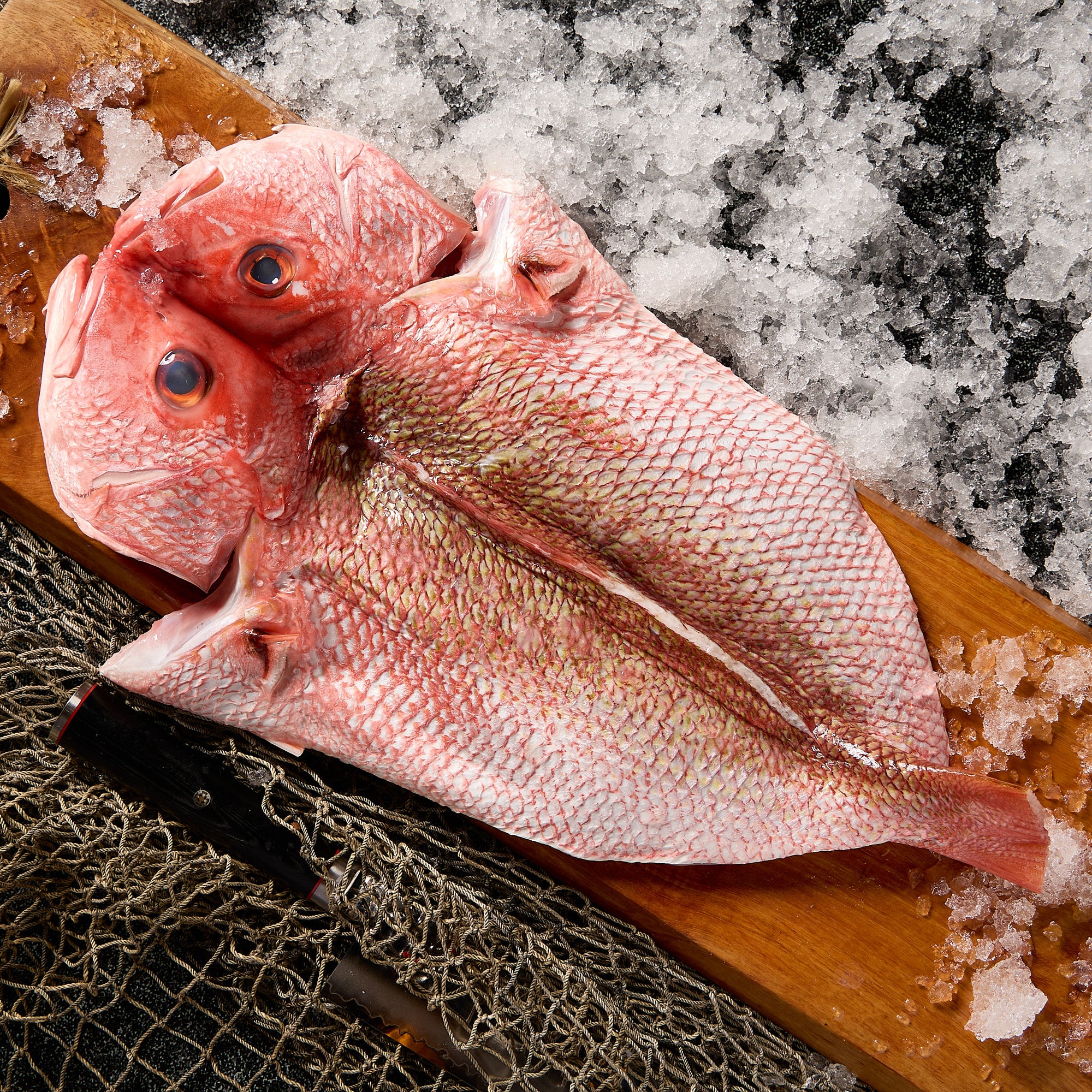 Buy Red Snapper Online – Krudo Fish Market