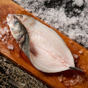 Medium Branzino