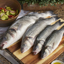 Medium Branzino