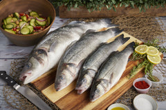 Small Branzino