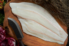 Halibut